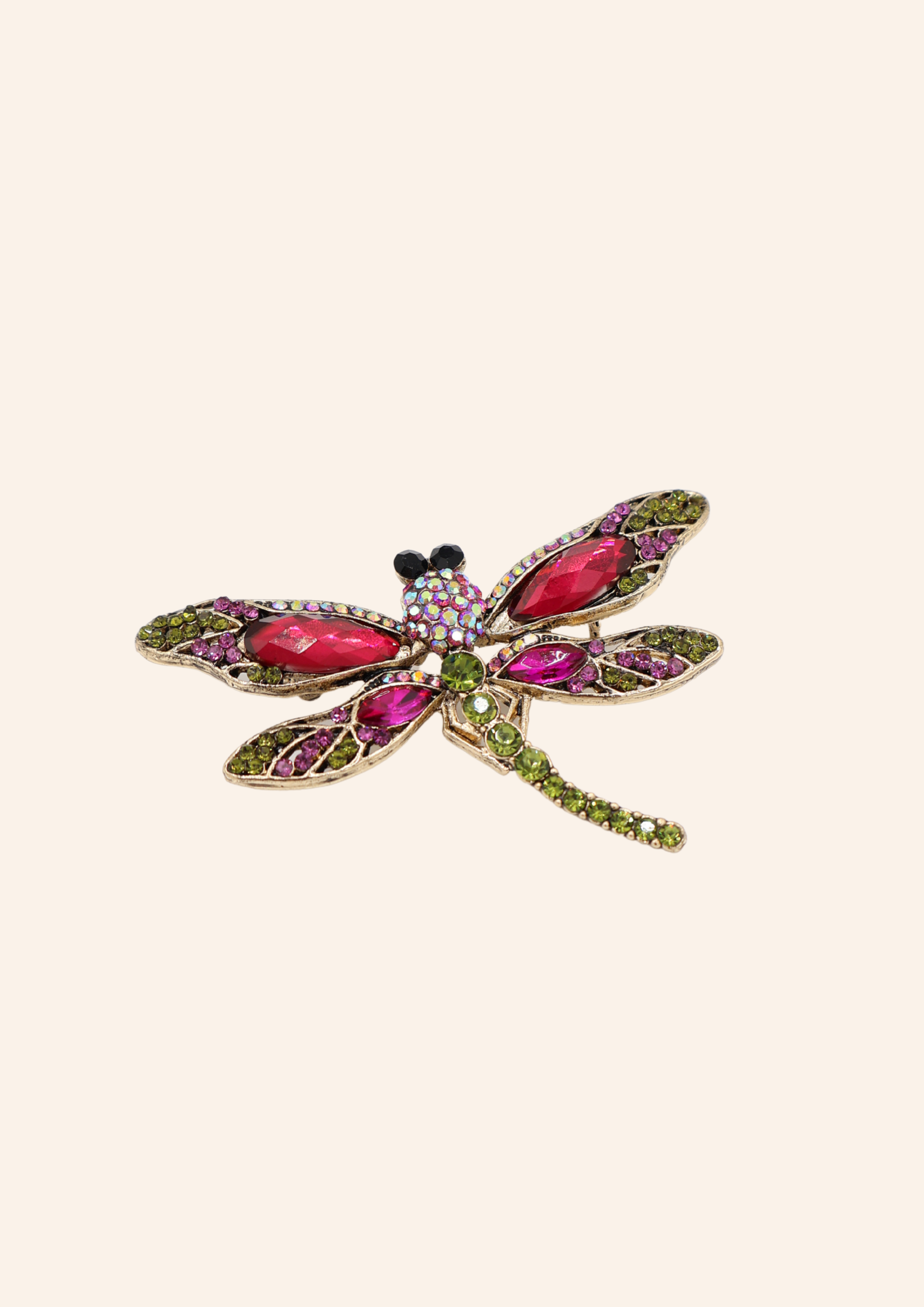 Kleurrijke broche in de vorm van een dragonfly. Stainless steel materiaal