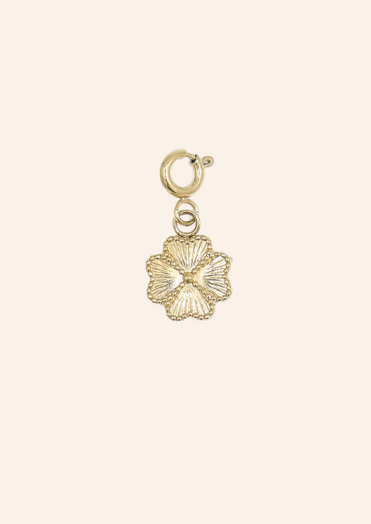 Charm 31