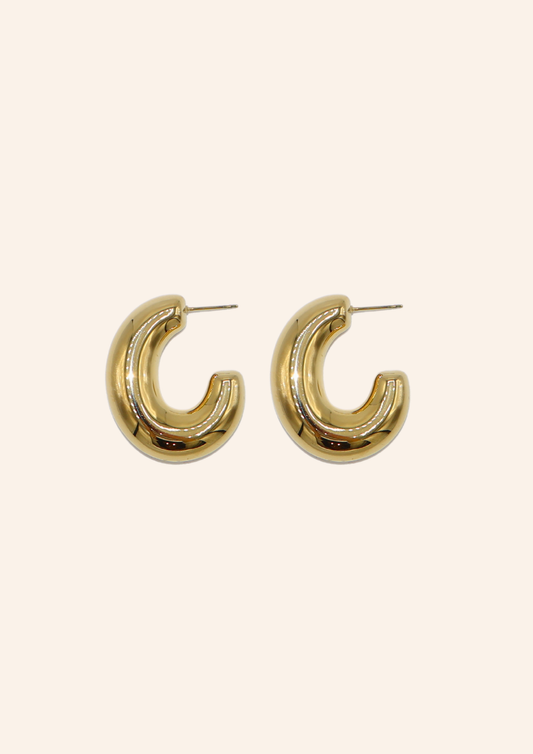 Classy Earrings
