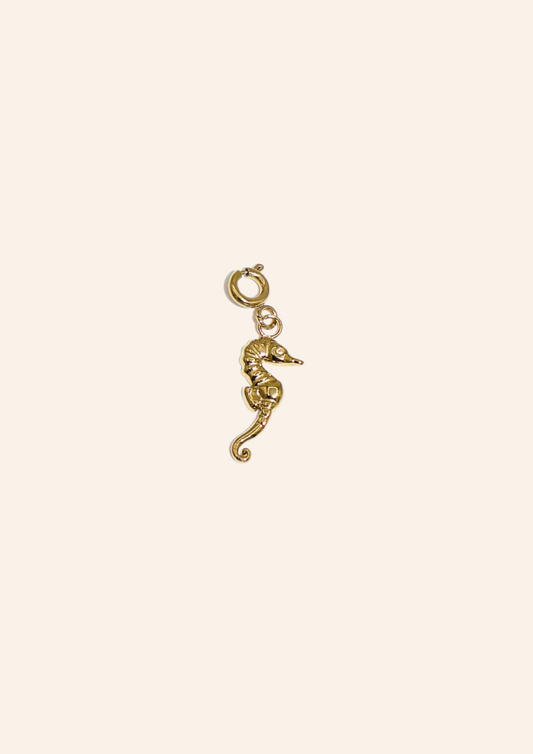 Charm 3